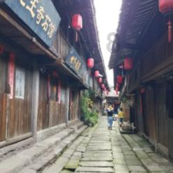 逃离梦想花园